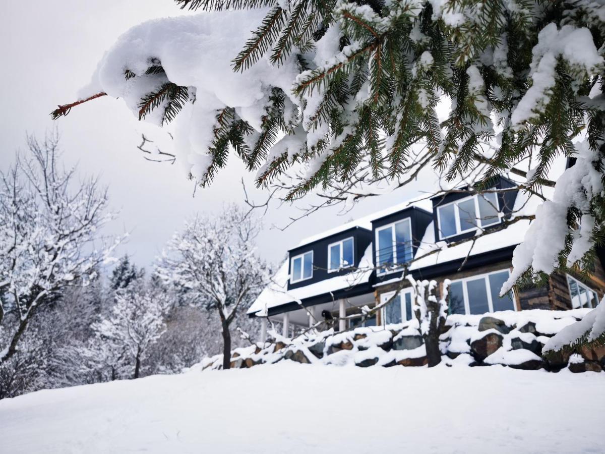 Doinita House Villa Borsa  Bagian luar foto