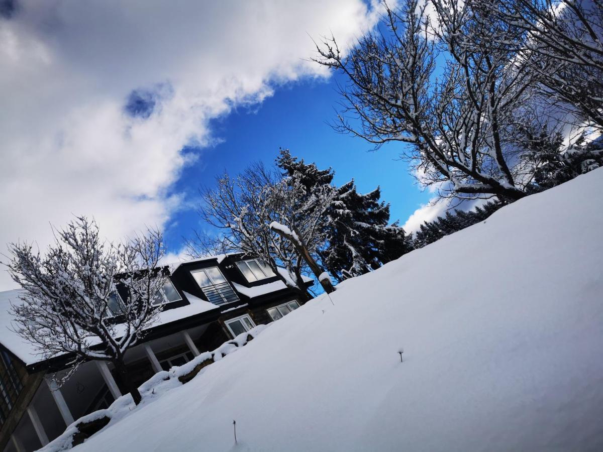 Doinita House Villa Borsa  Bagian luar foto