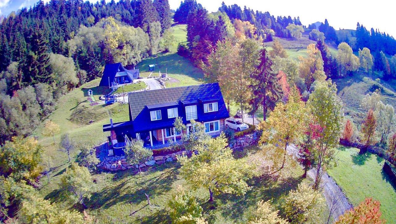 Doinita House Villa Borsa  Bagian luar foto