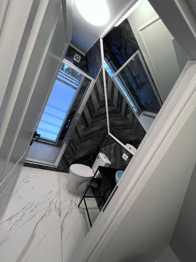 Doinita House Villa Borsa  Bagian luar foto