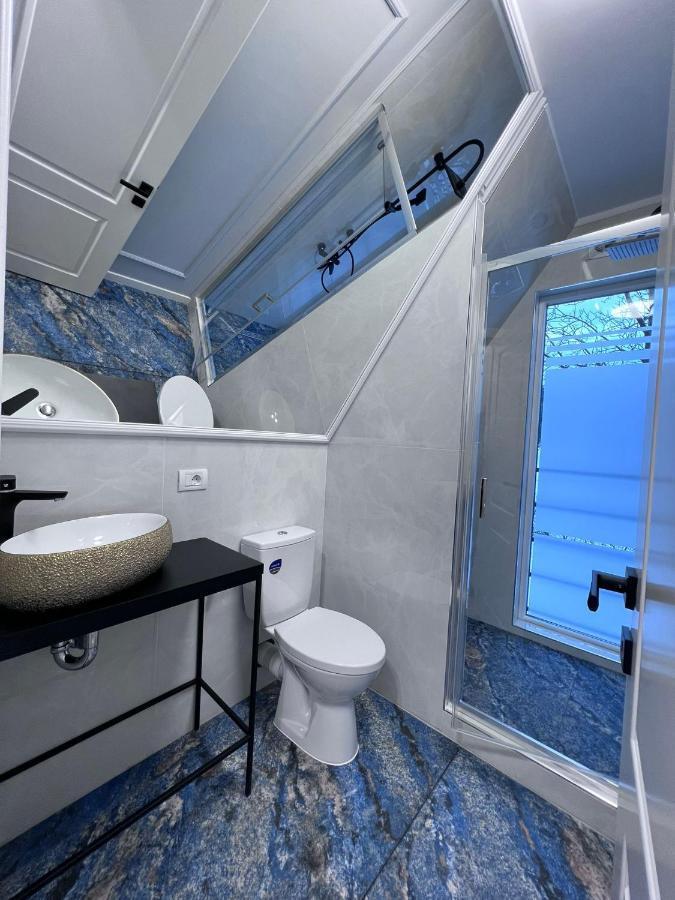 Doinita House Villa Borsa  Bagian luar foto