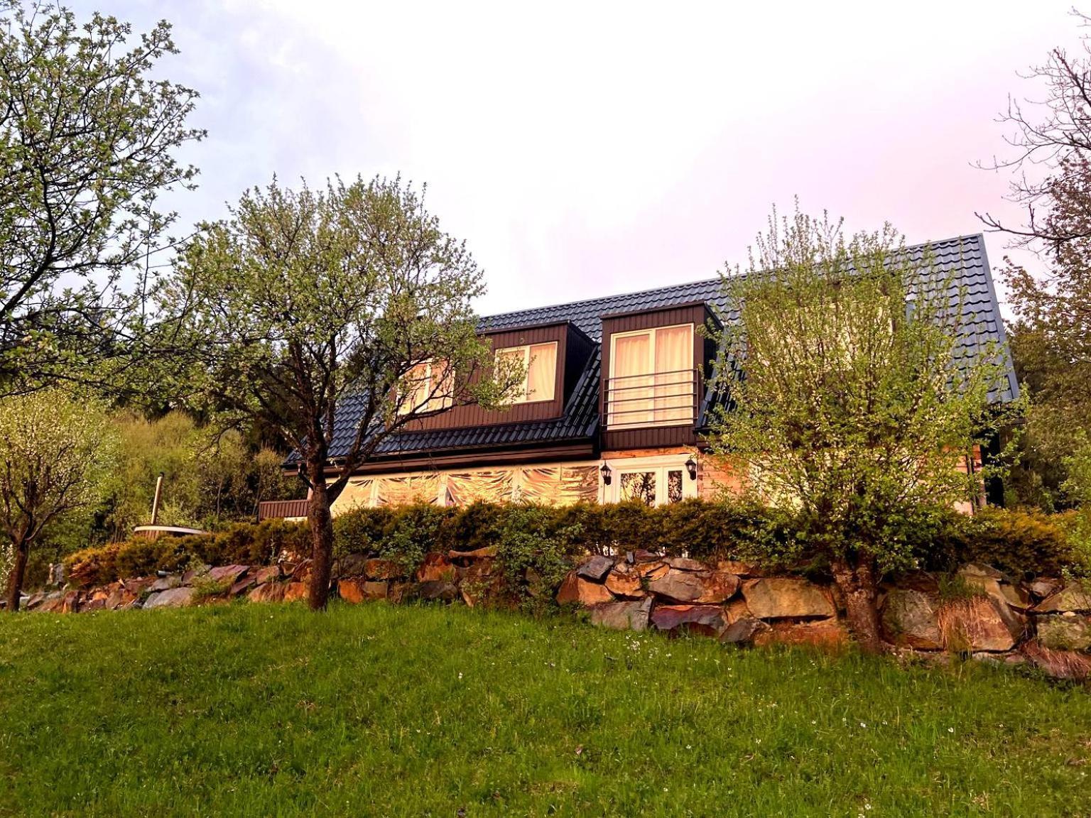 Doinita House Villa Borsa  Bagian luar foto