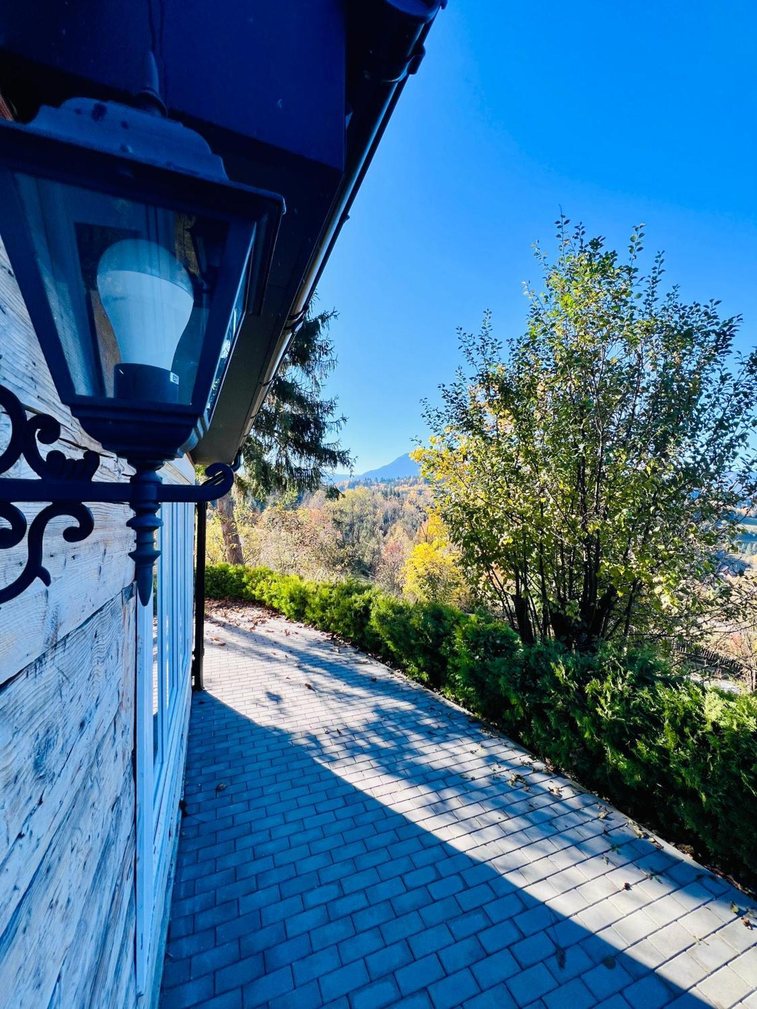 Doinita House Villa Borsa  Bagian luar foto