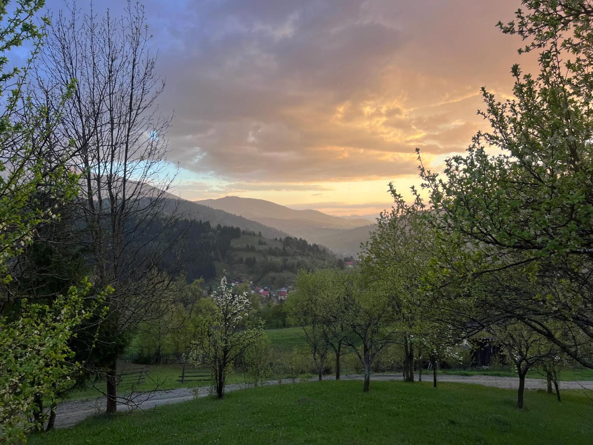 Doinita House Villa Borsa  Bagian luar foto