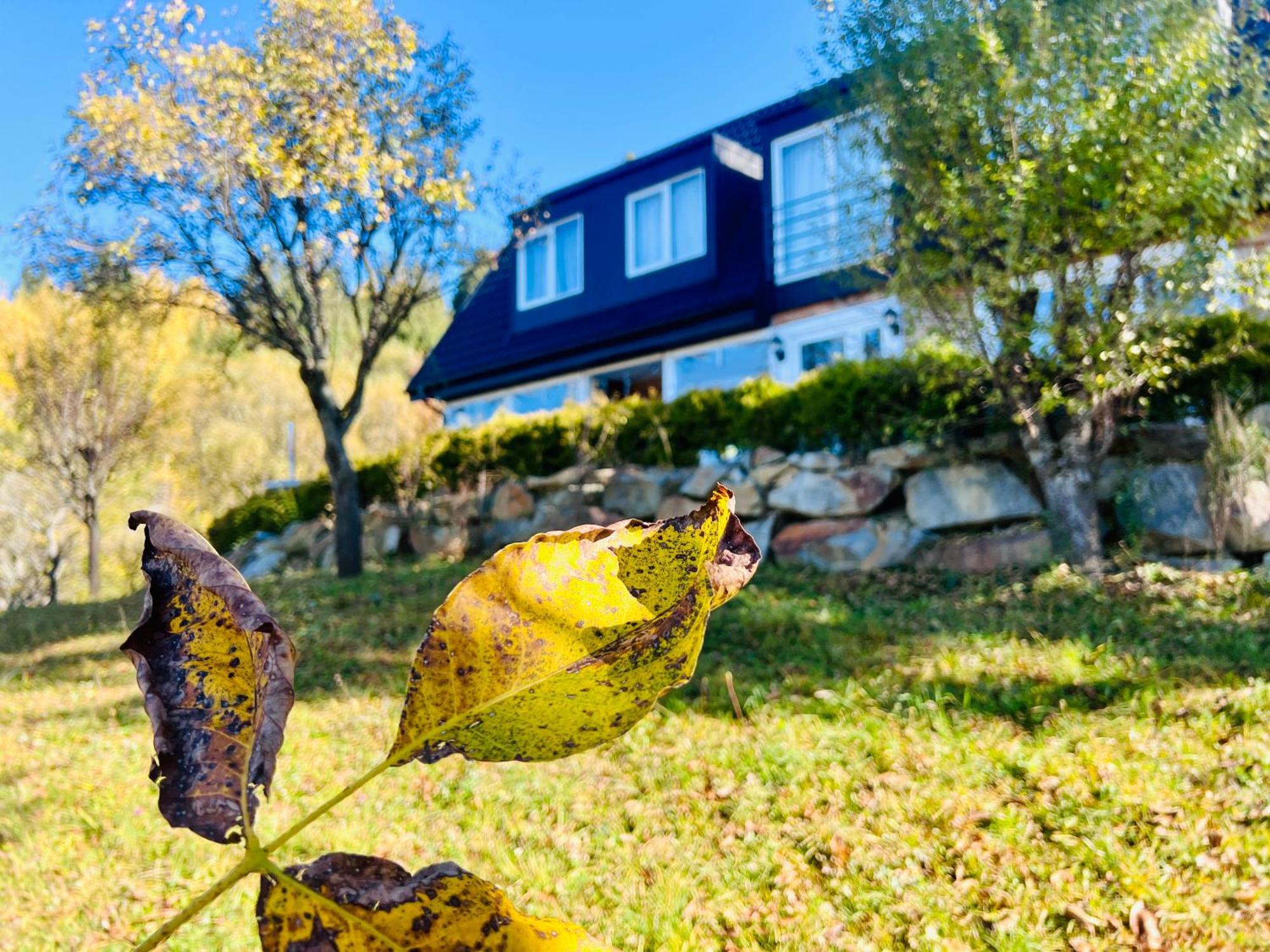 Doinita House Villa Borsa  Bagian luar foto